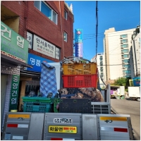 성남용달-5543130